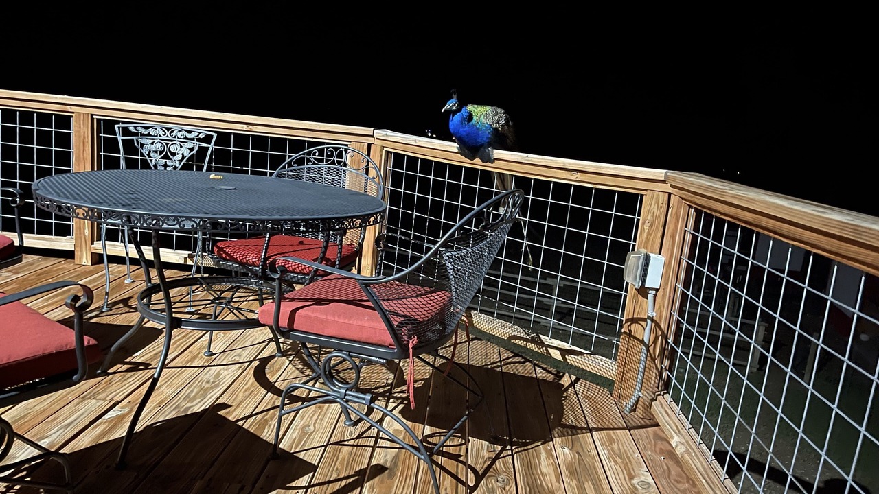 Photo of Patio Balcony in Cody