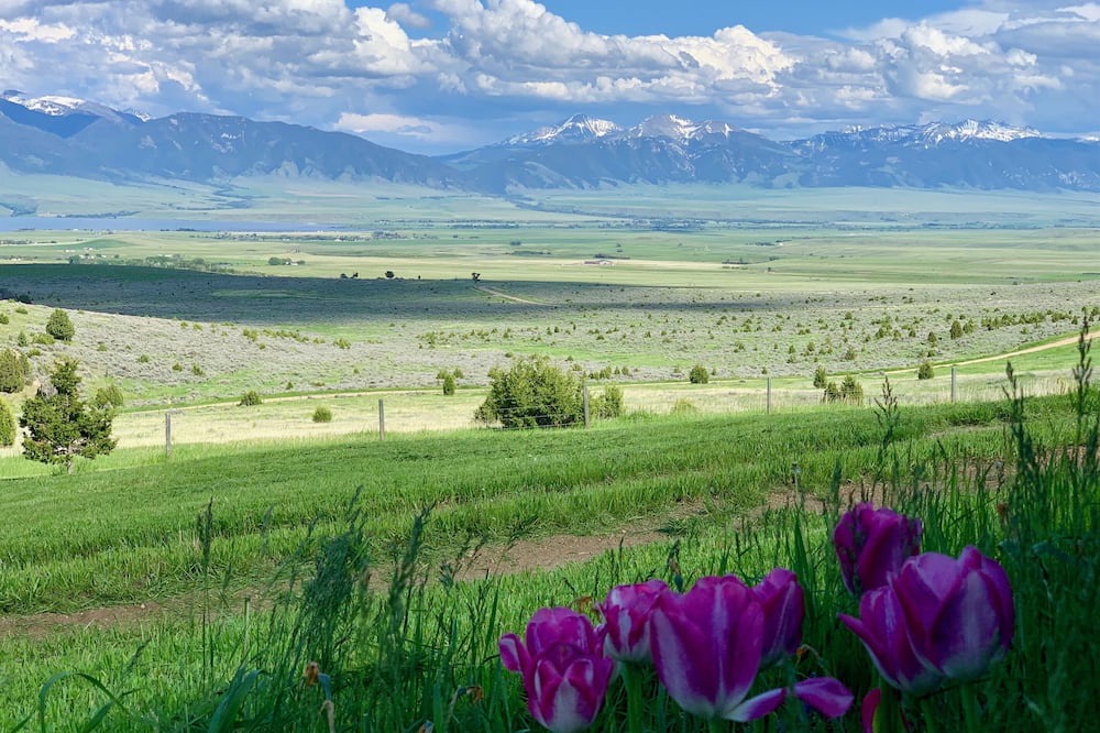 Photo of Outdoor in McAllister
