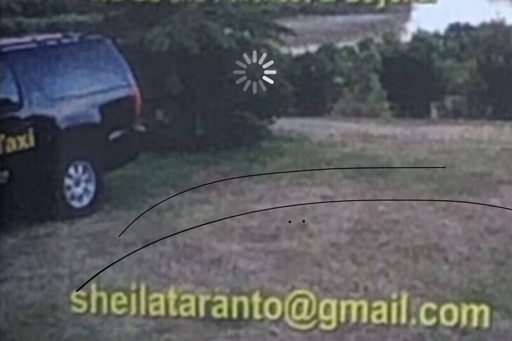 Photo of Others in Williston