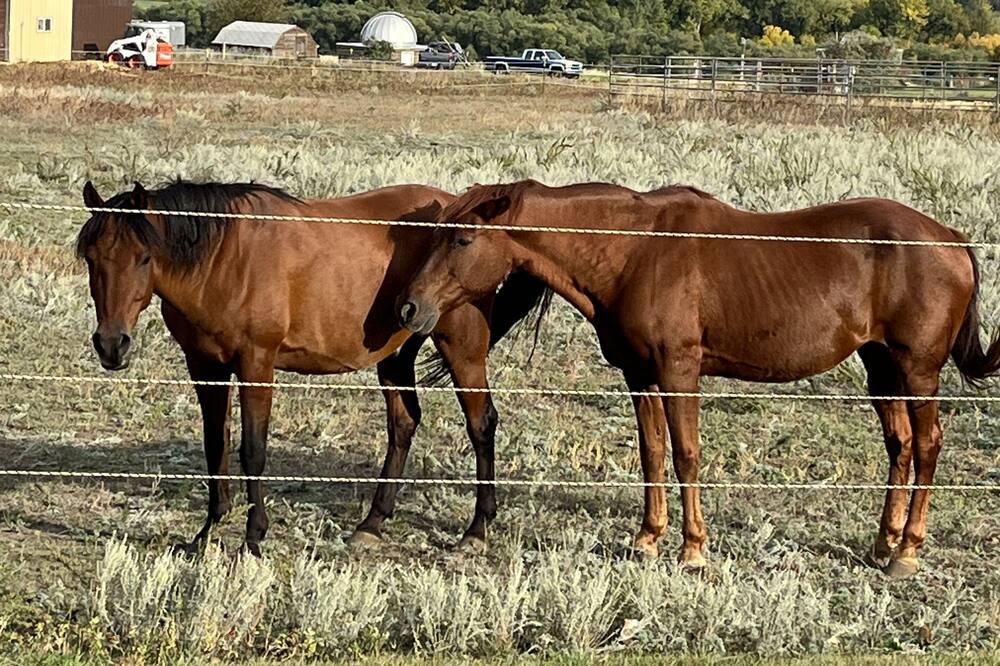 Photo of Outdoor in Williston