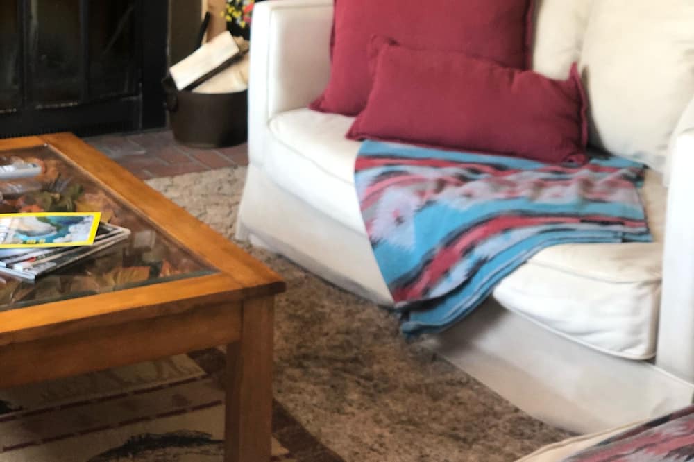 Photo of Livingroom in Meagher County