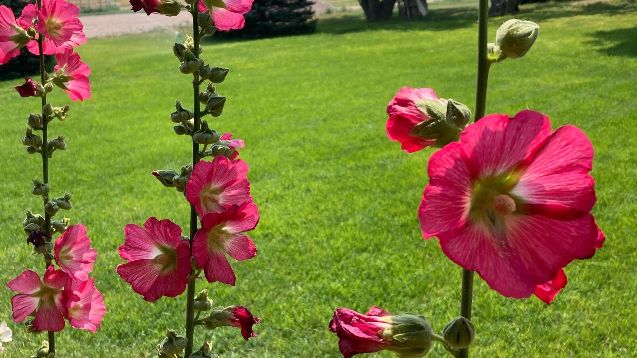 Photo of Outdoor in Glendo