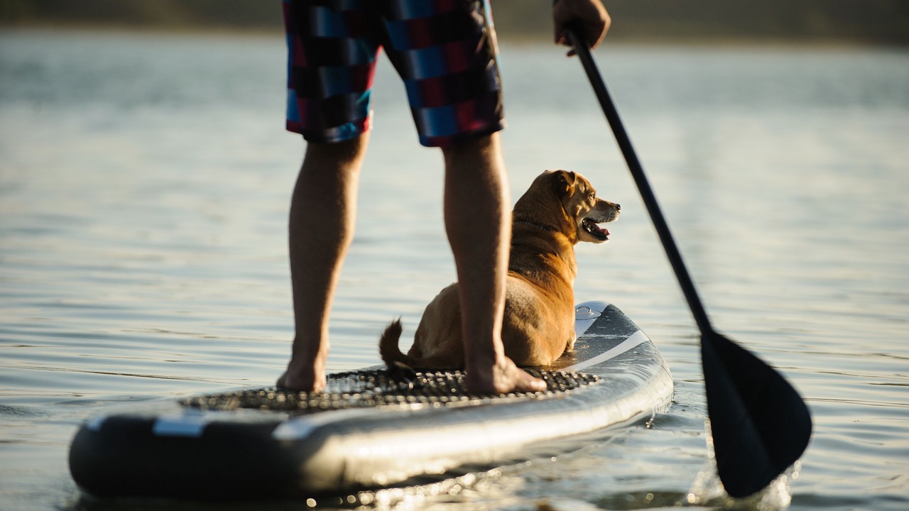 Photo of Others in Coeur d'Alene