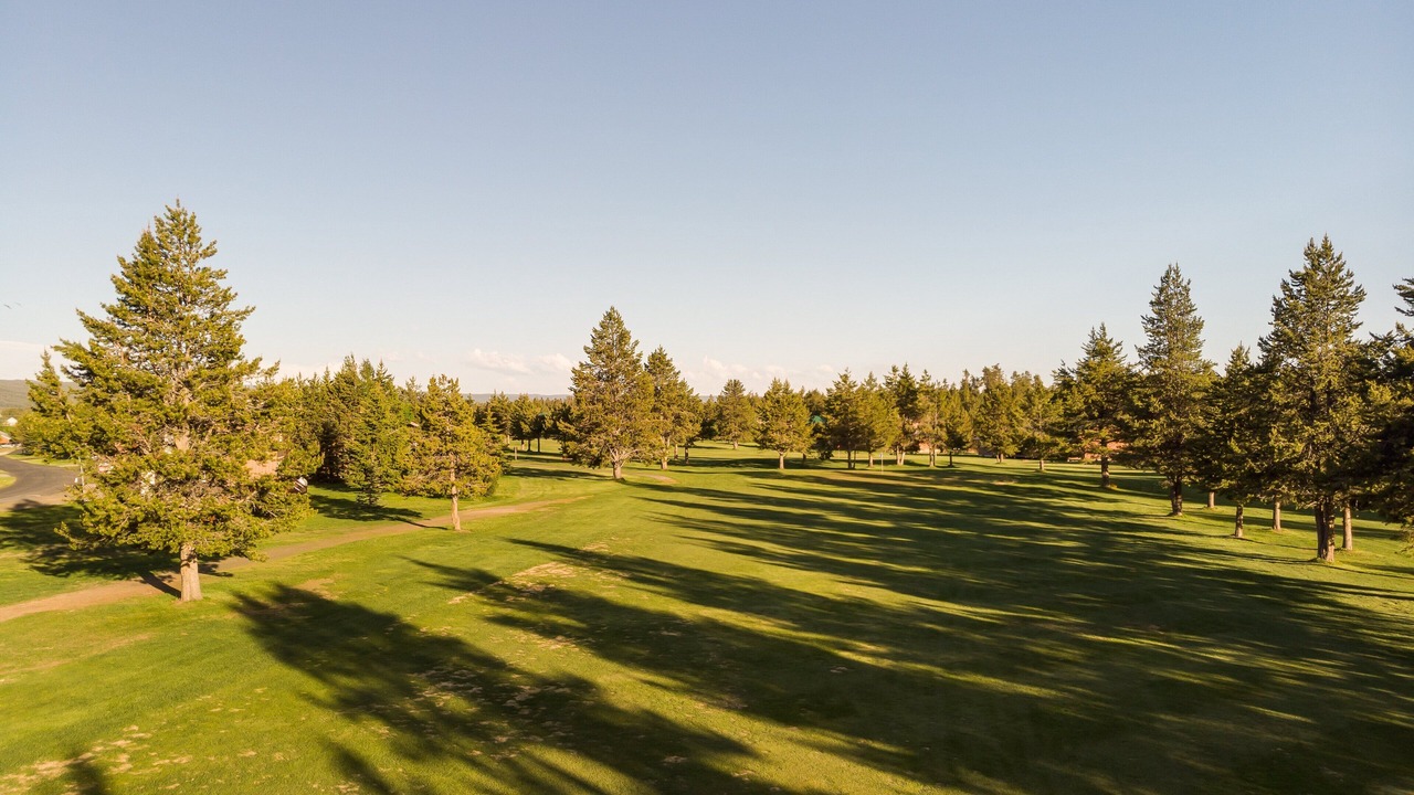 Photo of Others in Island Park