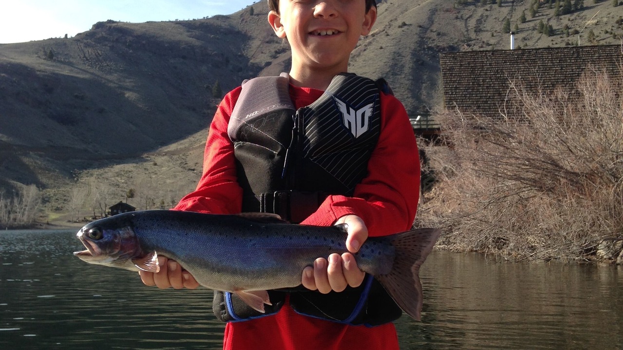 Photo of Others in Salmon
