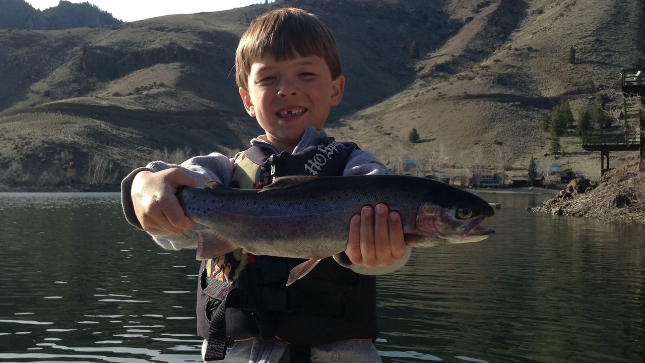 Photo of Others in Salmon
