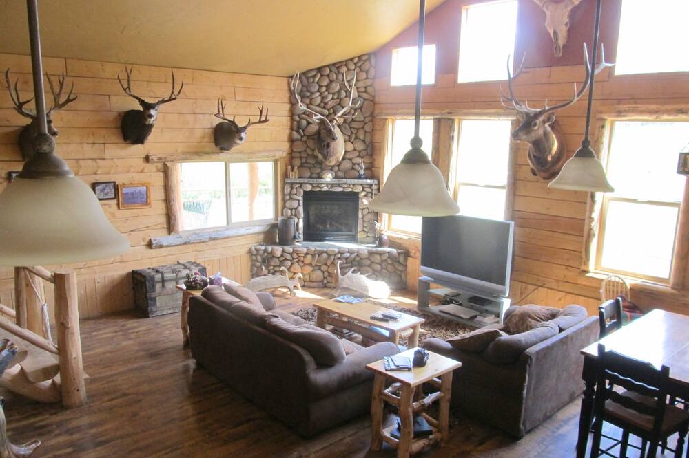 Photo of Livingroom in Daniel