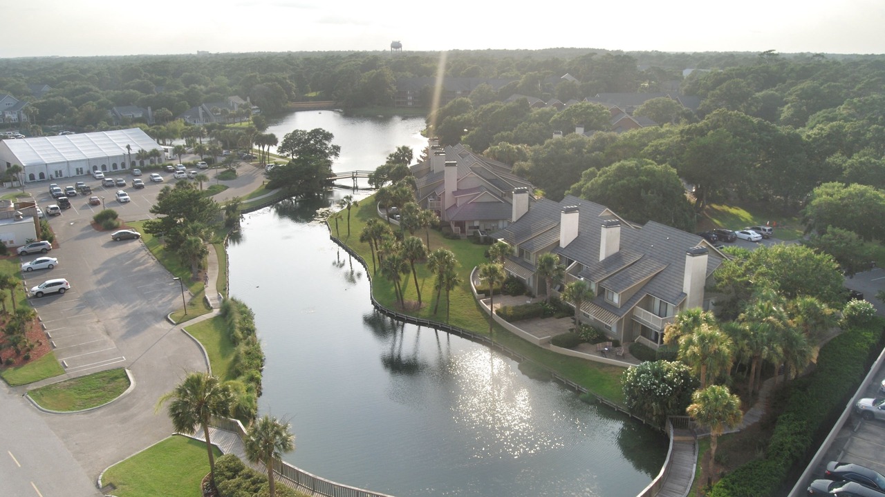 Photo of Others in Arcadian Shores