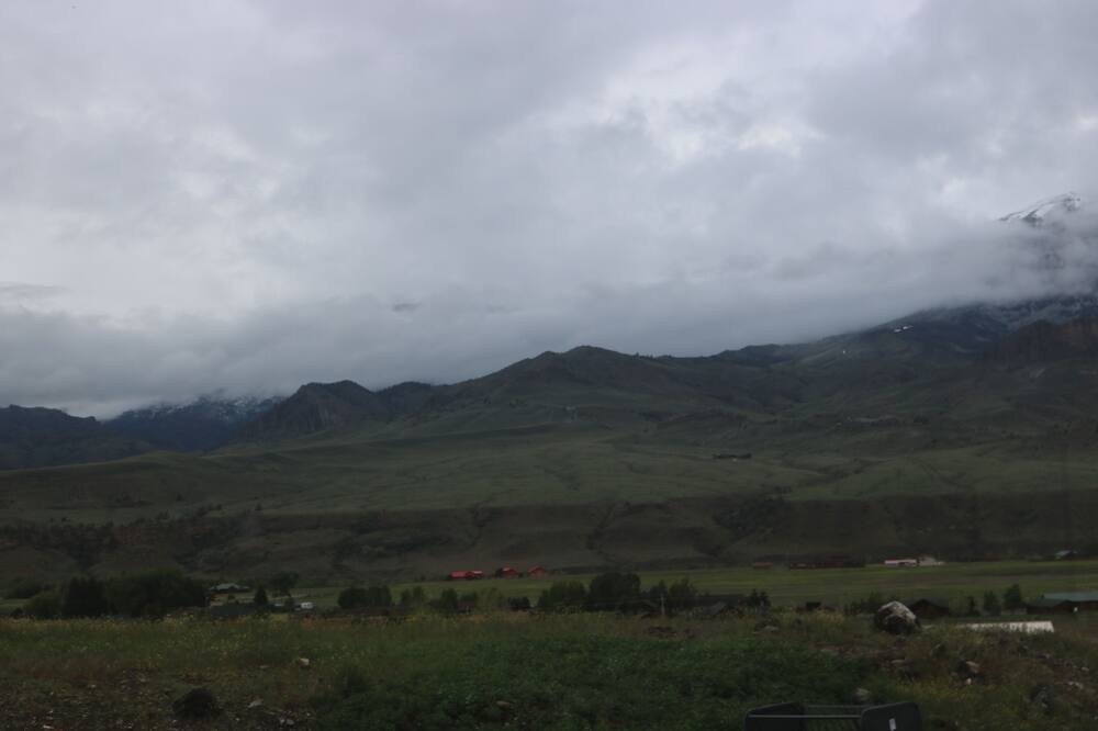 Photo of Others in Wapiti