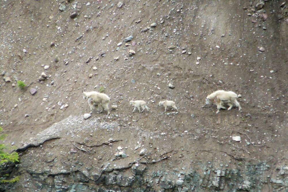 Photo of Others in Essex