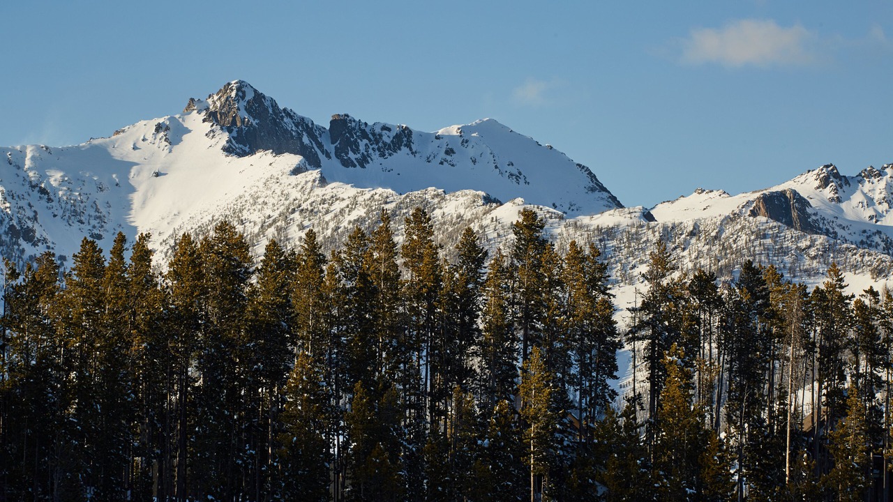 Photo of Others in Saddle Ridge