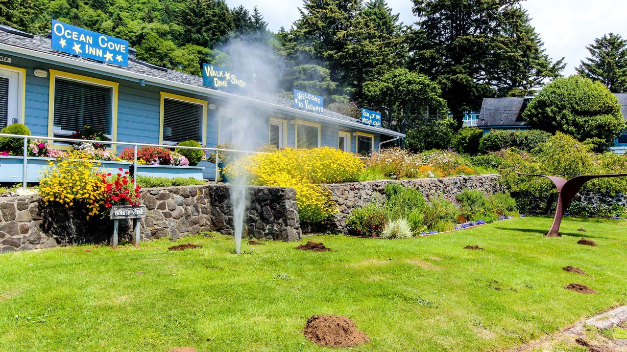 Photo of Outdoor in Yachats