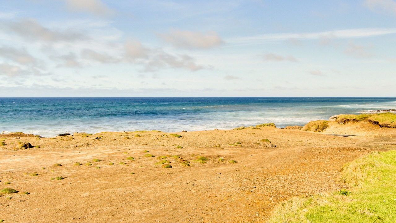 Photo of Others in Yachats