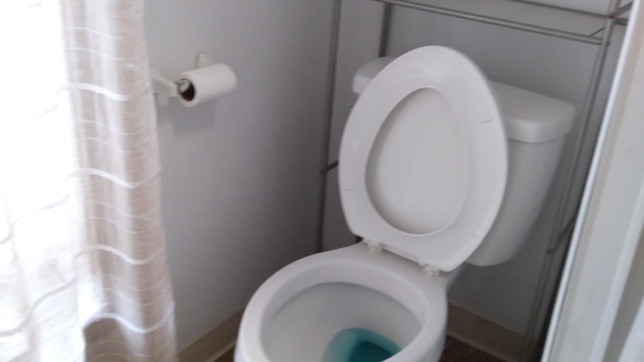 Photo of Bathroom in Tiona