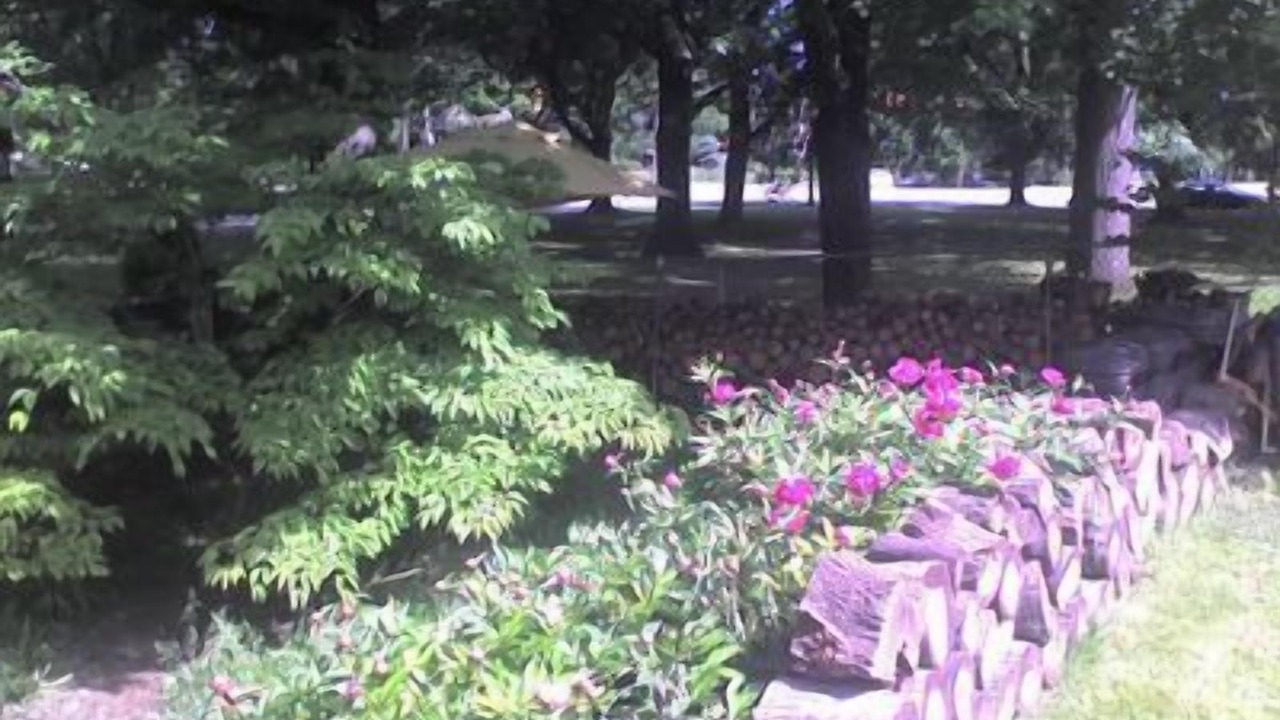 Photo of Outdoor in Detroit - Shoreway