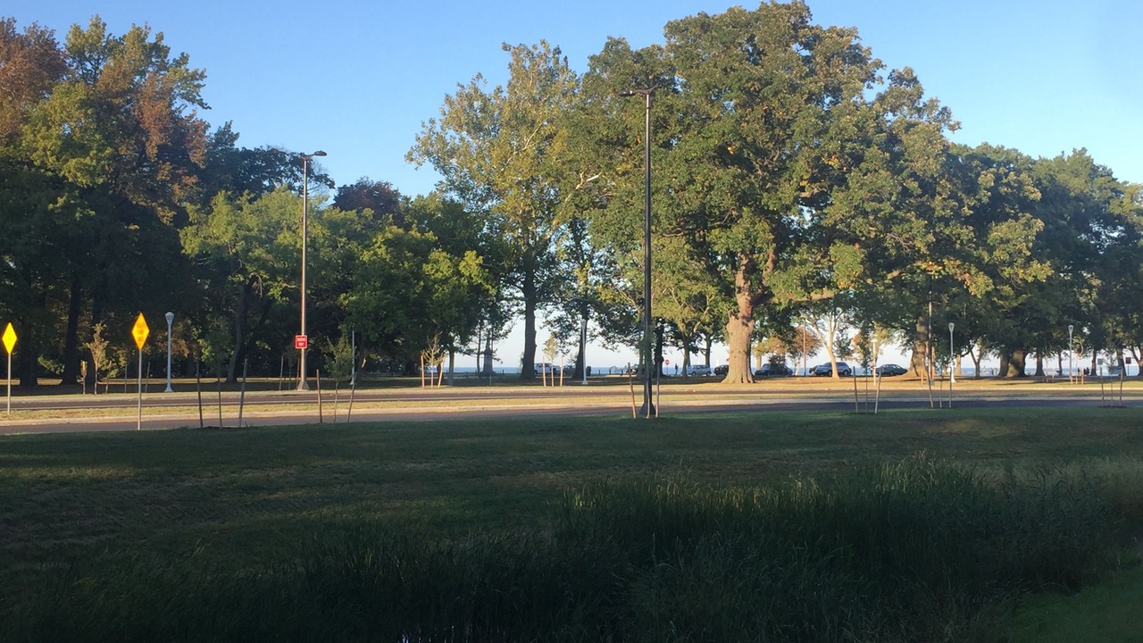 Photo of Others in Detroit - Shoreway