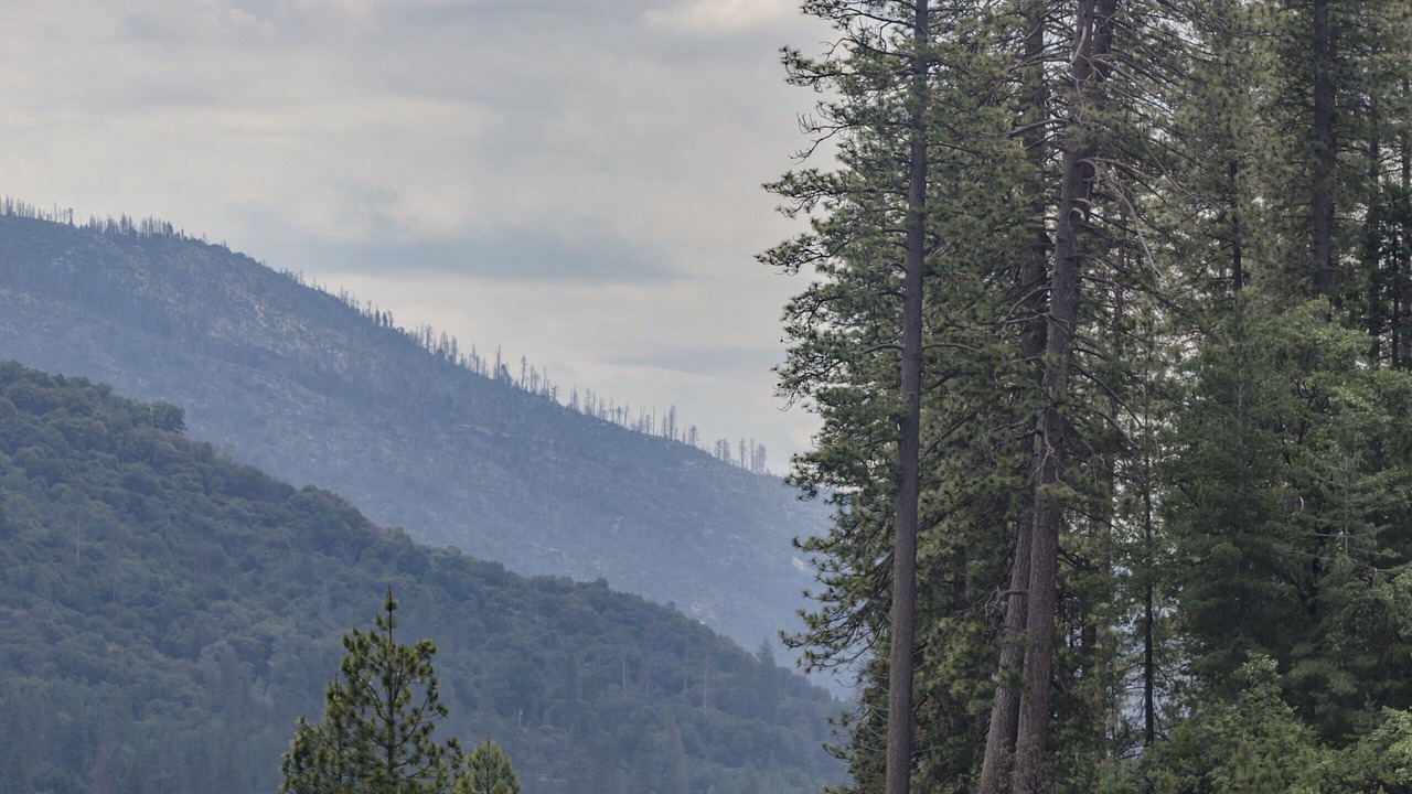 Photo of Outdoor in Coeur d'Alene