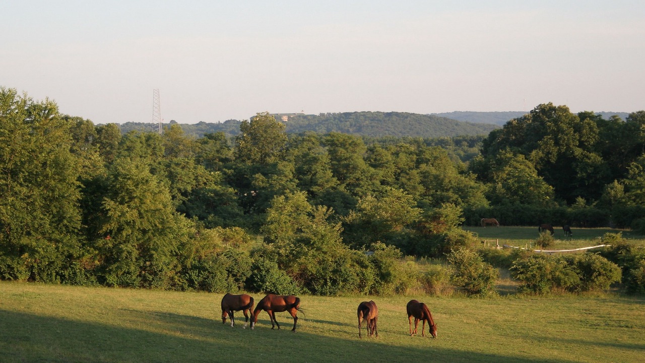 Photo of Outdoor in Hummelstown