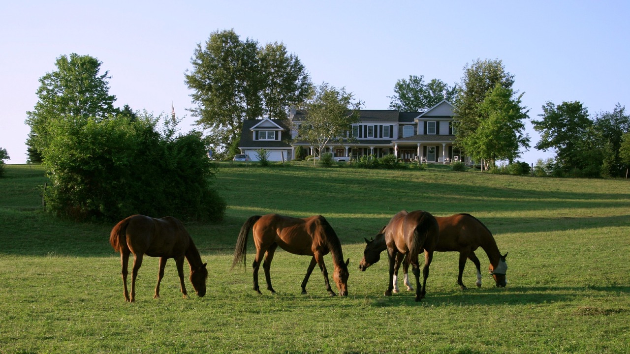 Photo of Outdoor in Hummelstown