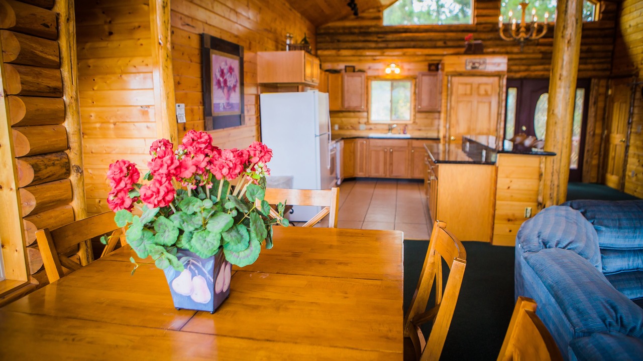 Photo of Kitchen in Last Chance