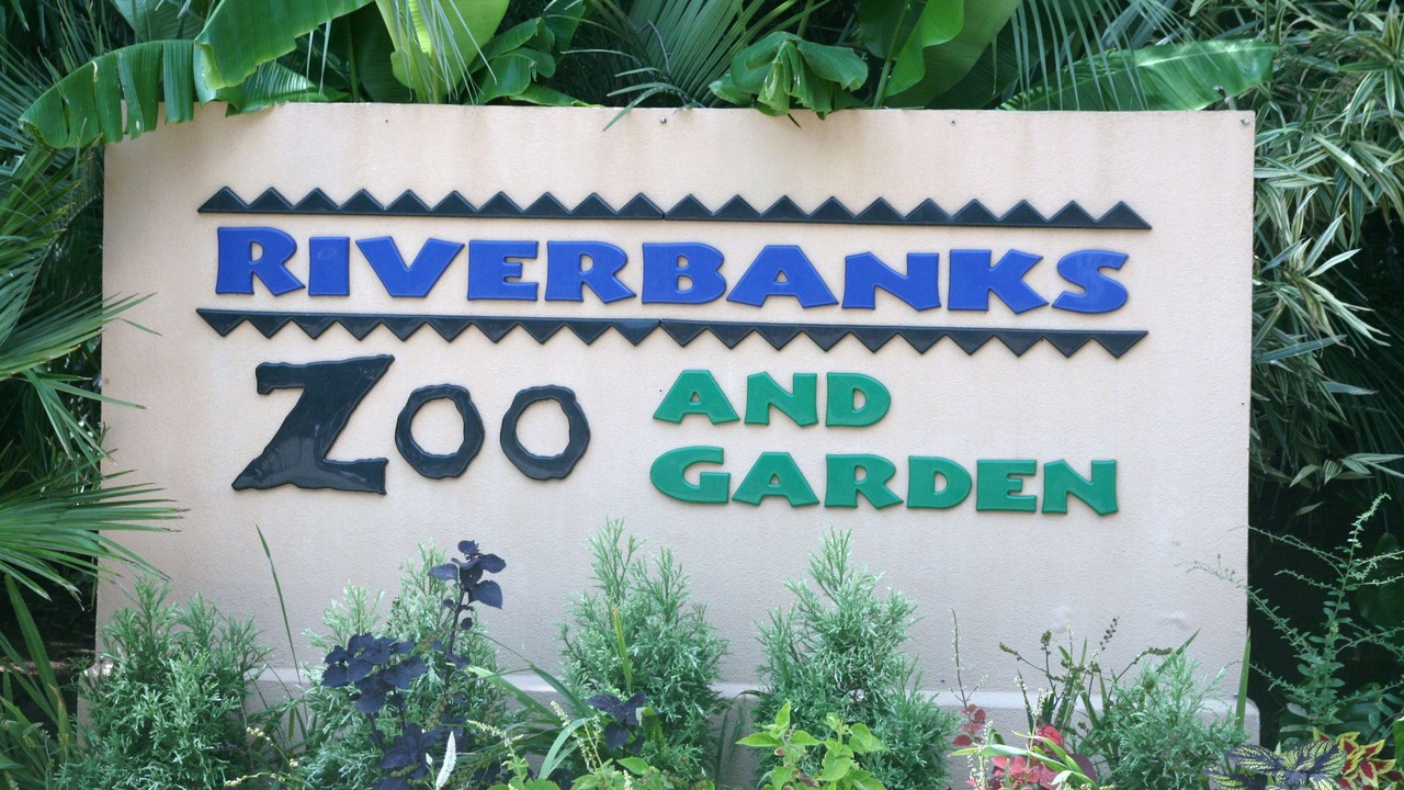 Photo of Outdoor in Royal Pines Estates