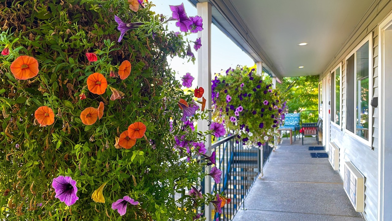Photo of Outdoor in Garden District