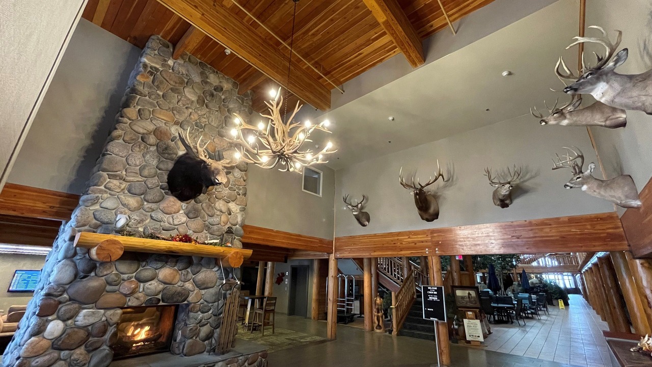 Photo of Others in Bozeman