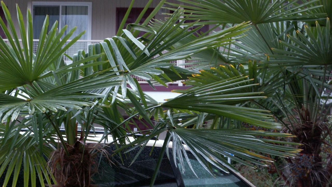 Photo of Outdoor in West Eugene