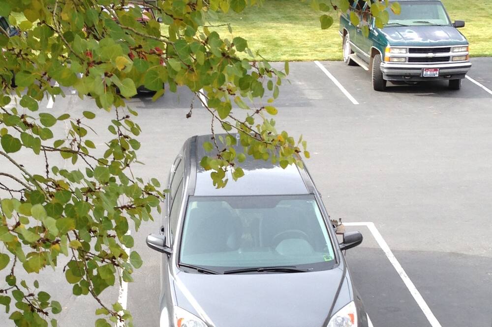 Photo of Others in Ketchum