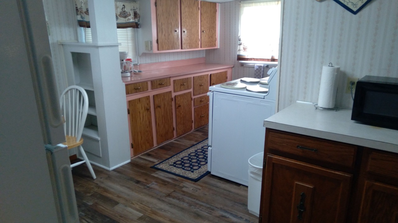 Photo of Kitchen in Newcastle