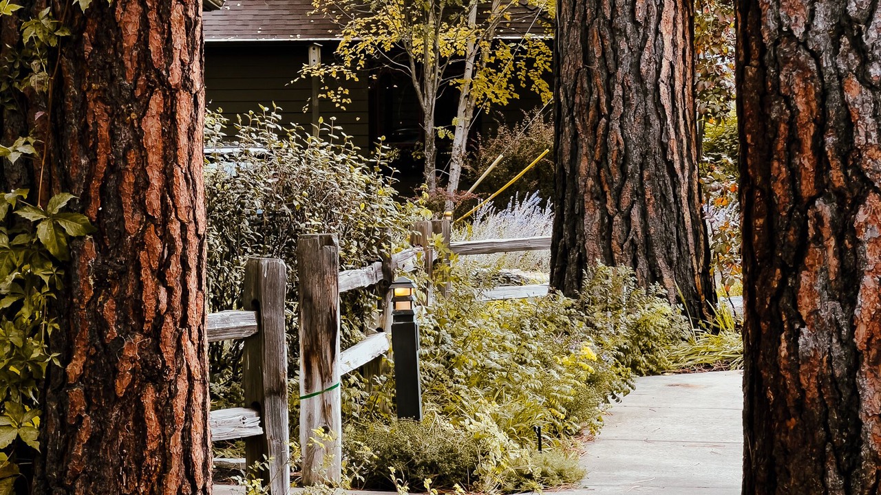 Photo of Outdoor in Bigfork