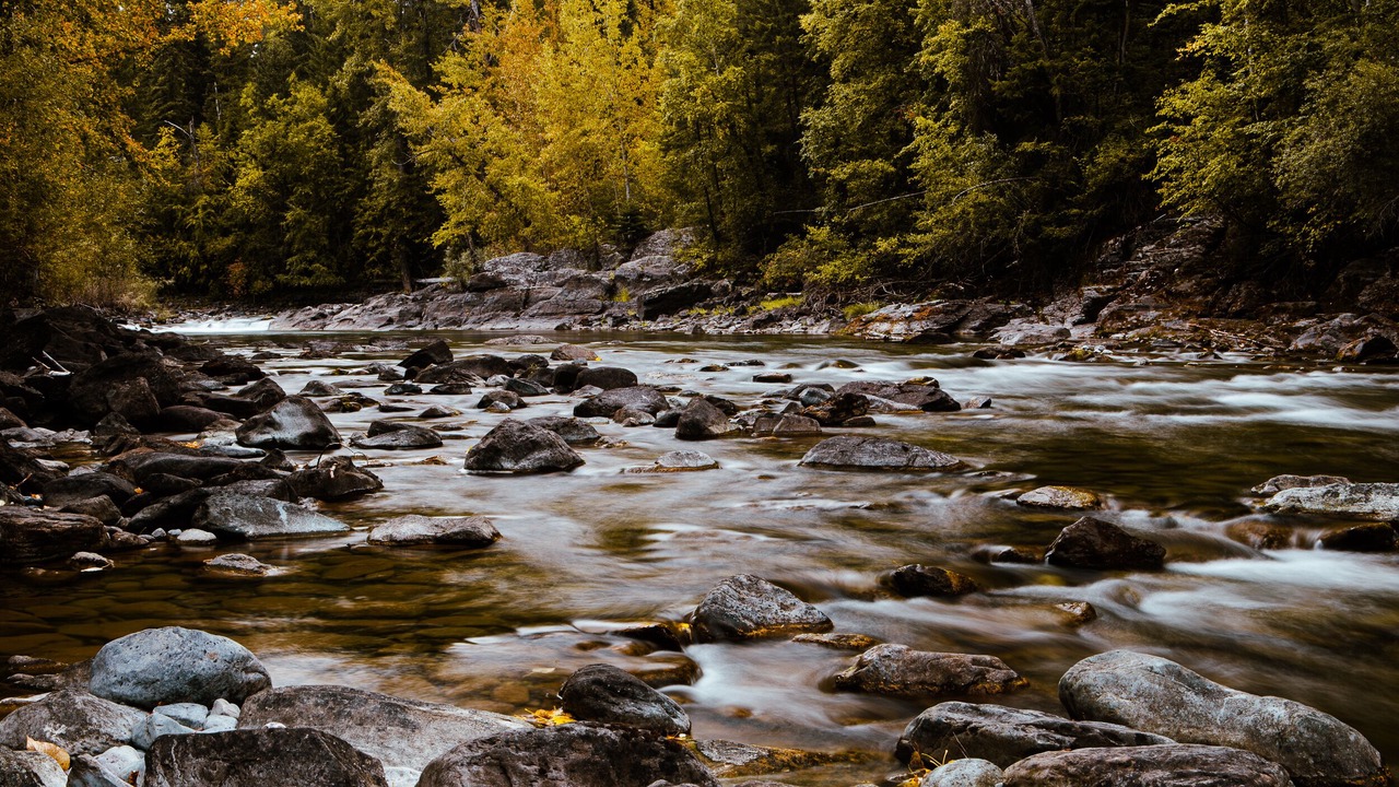 Photo of Others in Bigfork