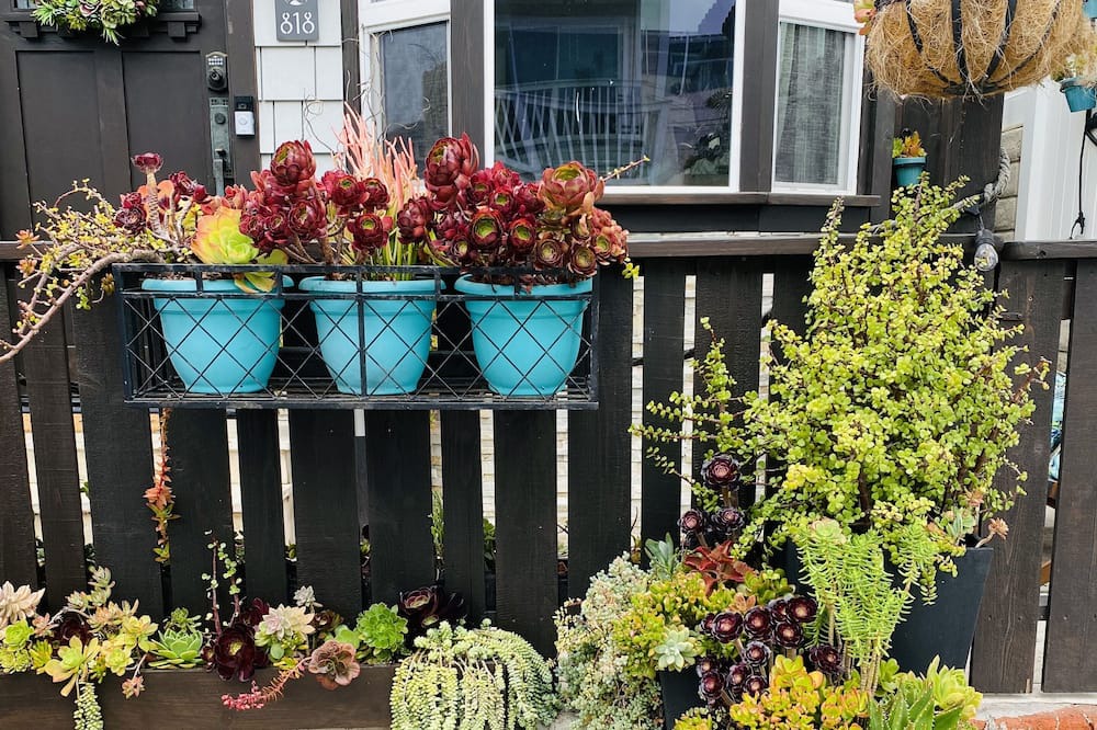 Photo of Outdoor in Mission Beach