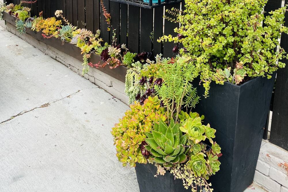 Photo of Outdoor in Mission Beach