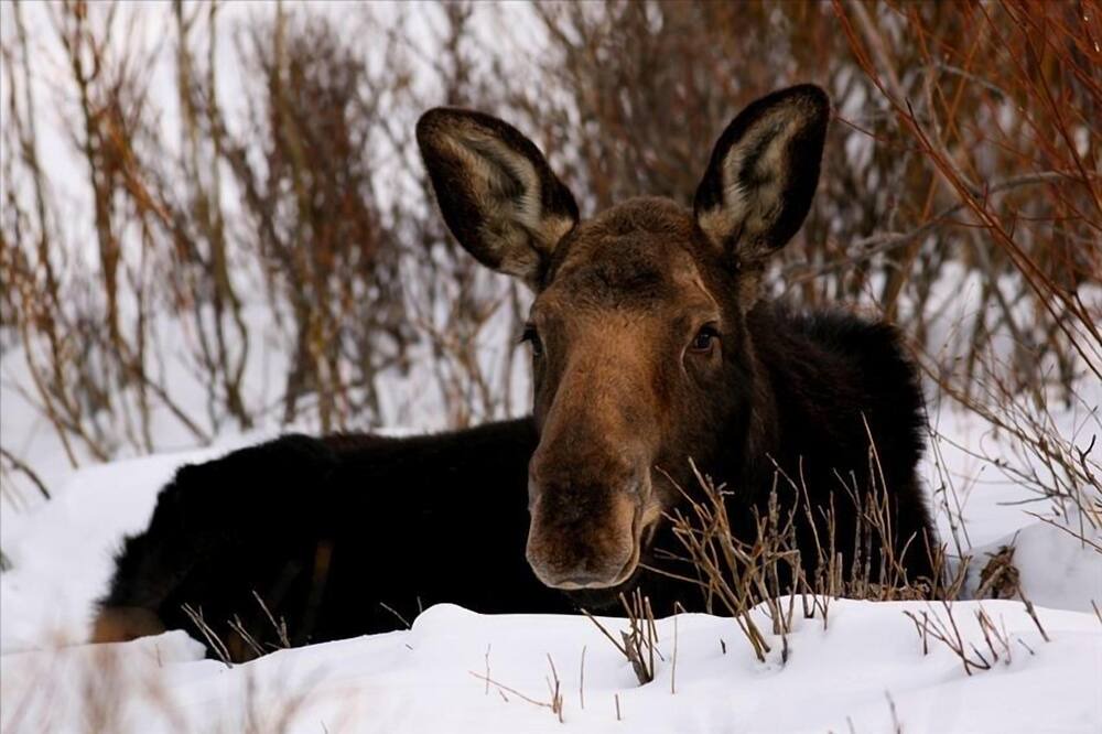 Photo of Outdoor in Big Horn