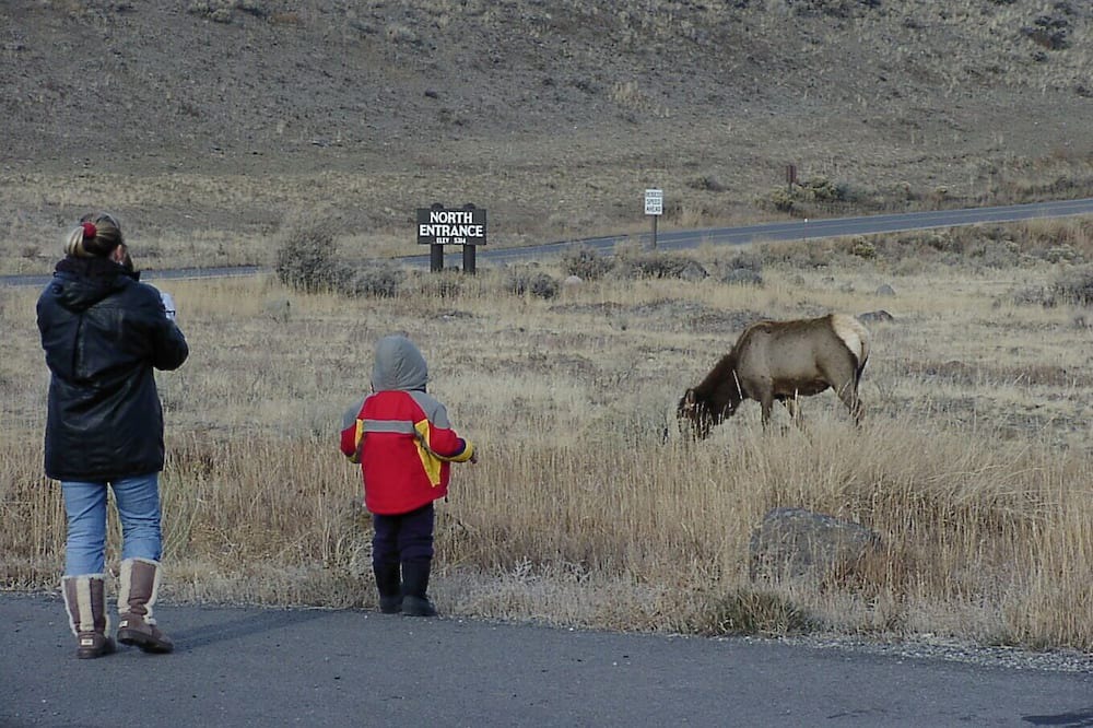 Photo of Others in Big Horn