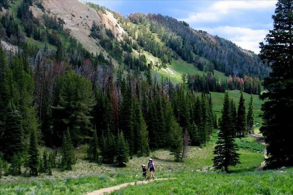 Photo of Outdoor in Big Horn