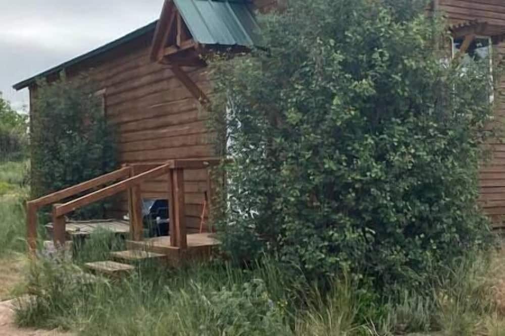 Photo of Others in Walden