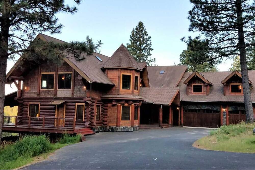 Photo of Outdoor in Viola