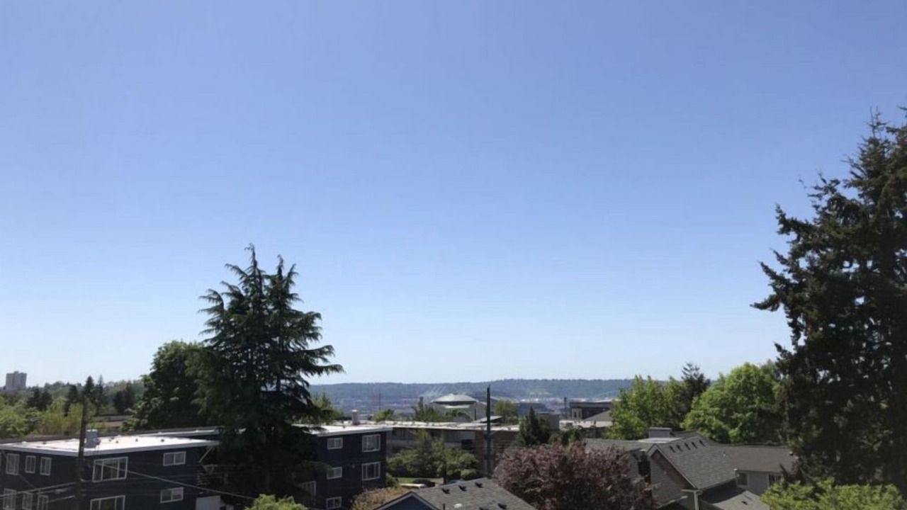 Photo of Outdoor in Squire Park