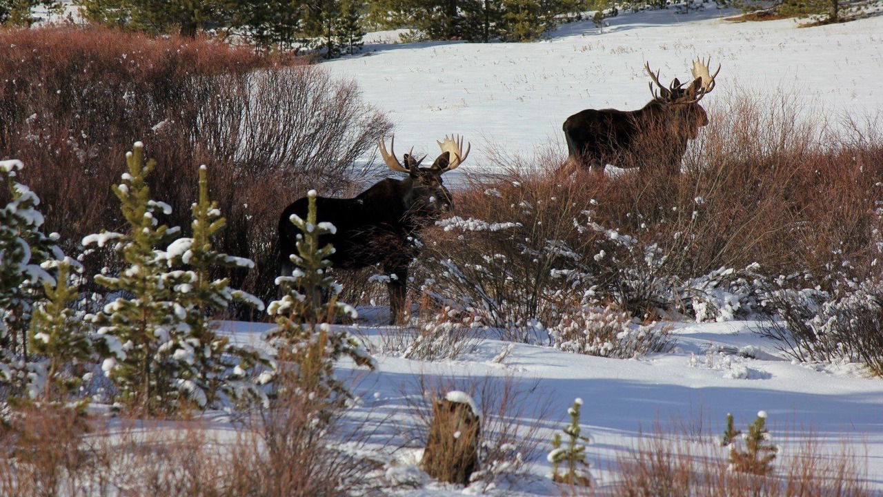 Photo of Outdoor in Anaconda