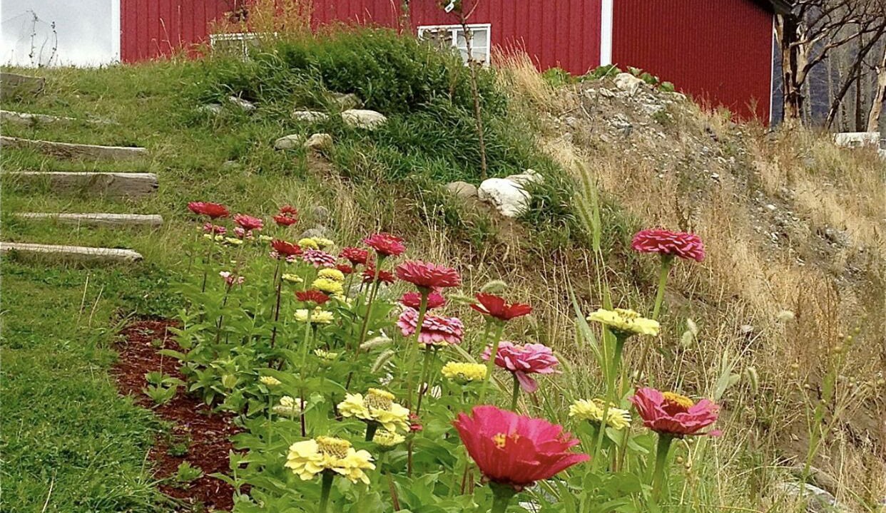 Photo of Outdoor in Livingston
