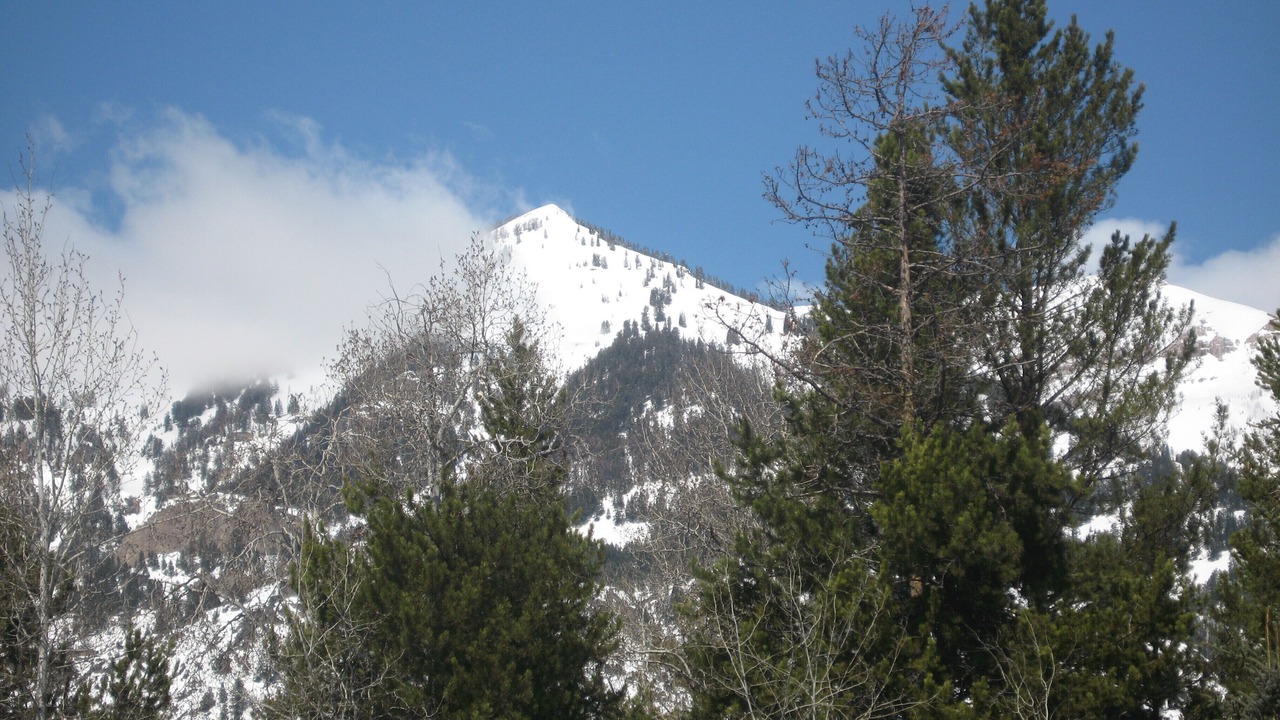 Photo of Others in Moose Wilson Road