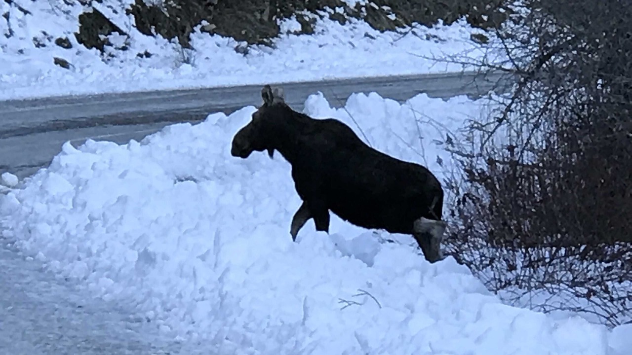 Photo of Others in Harrison