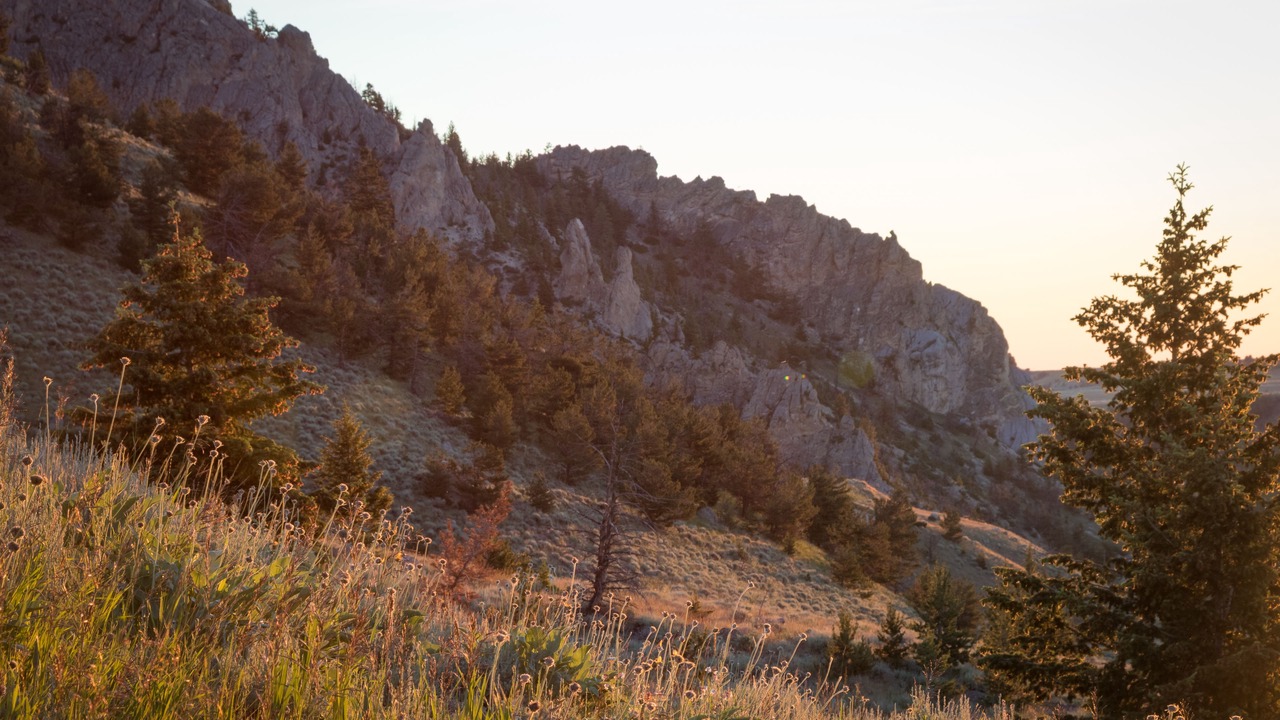 Photo of Outdoor in Red Lodge