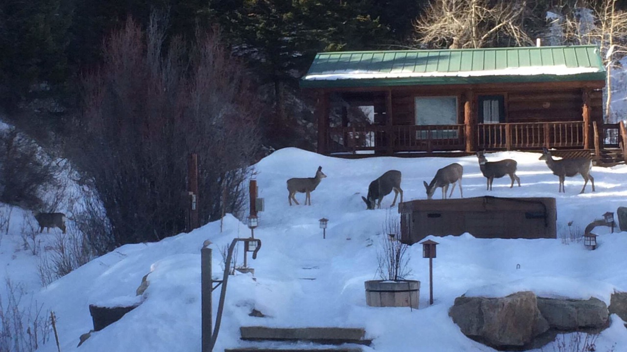 Photo of Outdoor in Red Lodge