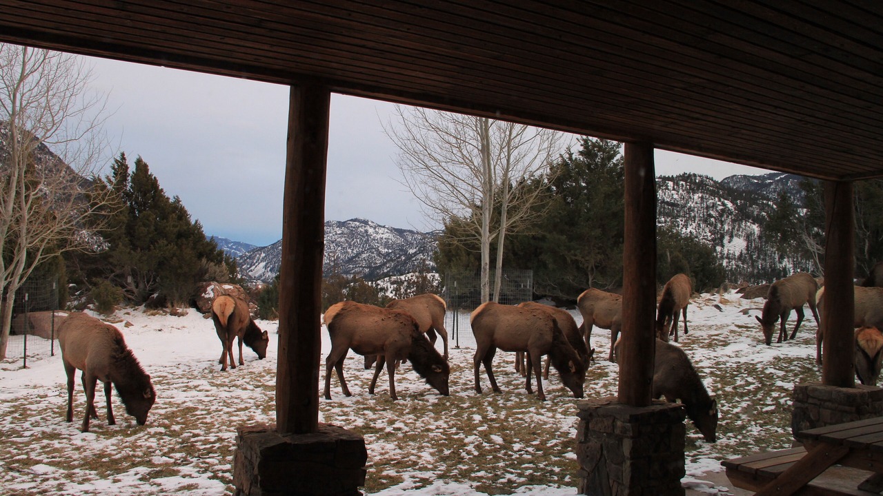 Photo of Outdoor in Emigrant