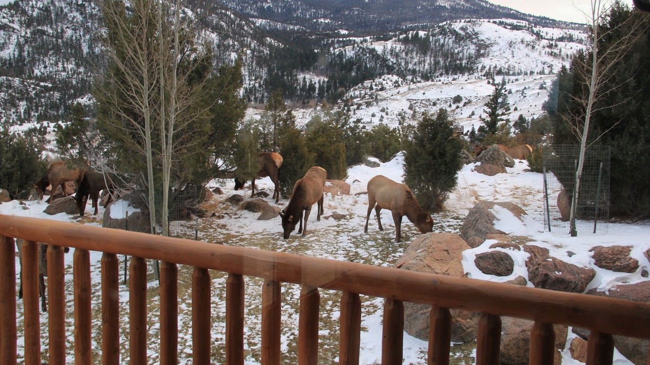 Photo of Outdoor in Emigrant