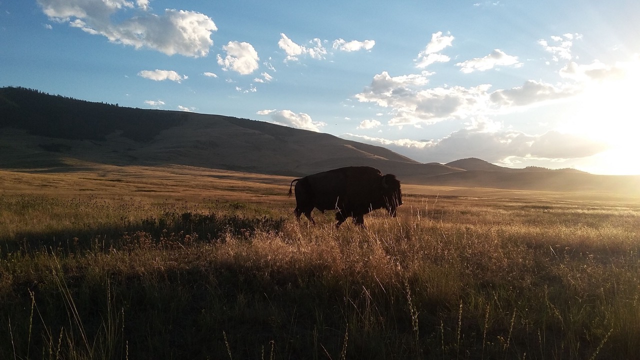 Photo of Outdoor in Polson