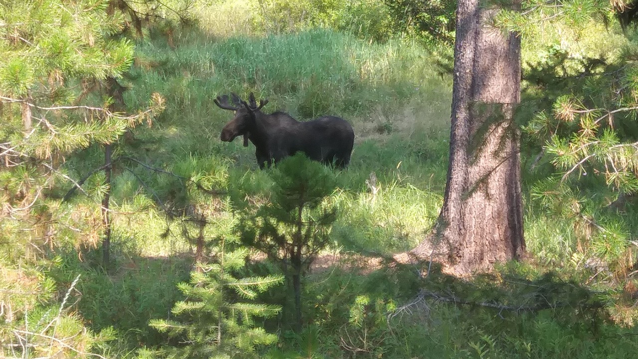 Photo of Outdoor in Polson